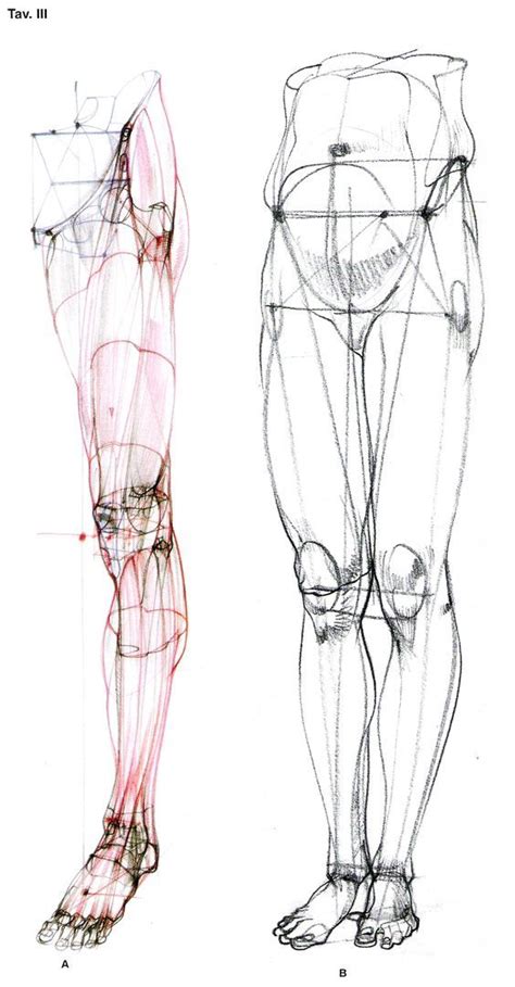 karakalem anatomi